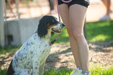 Mike Letson Photography